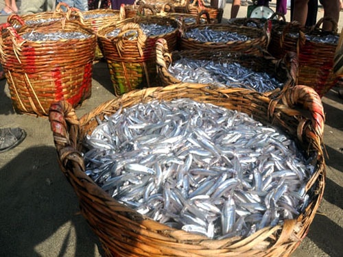 Nước Mắm Phú Yên