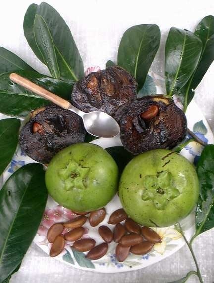 Bán Cây Hồng Socola Trưởng Thành Ở HCM