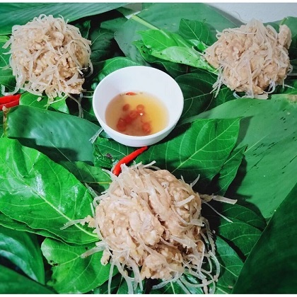 Bán Cây Sung Ăn Lá (sung nếp) Ở HCM Bán Cây Sung Ăn Lá (sung nếp) Ở HCM