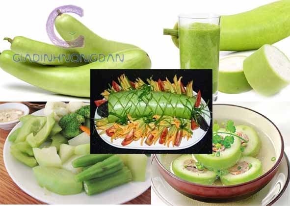 Kỹ Thuật Trồng Cây Bầu Sao Kỹ Thuật Trồng Cây Bầu Sao
