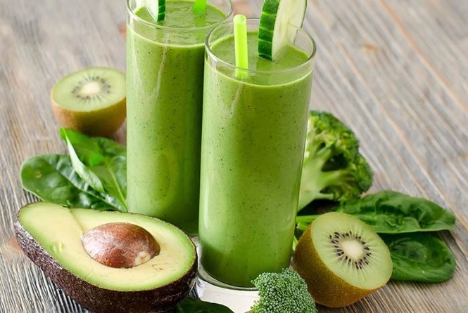 Cây Bơ Giống Cây Bơ Giống