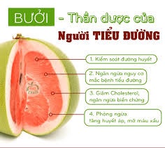 Cây Bưởi – “Thần Dược” Trồng Sau Nhà, Tốt Cho Cả Nhà Cây Bưởi – “Thần Dược” Trồng Sau Nhà, Tốt Cho Cả Nhà