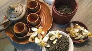 Cây Bưởi – “Thần Dược” Trồng Sau Nhà, Tốt Cho Cả Nhà Cây Bưởi – “Thần Dược” Trồng Sau Nhà, Tốt Cho Cả Nhà