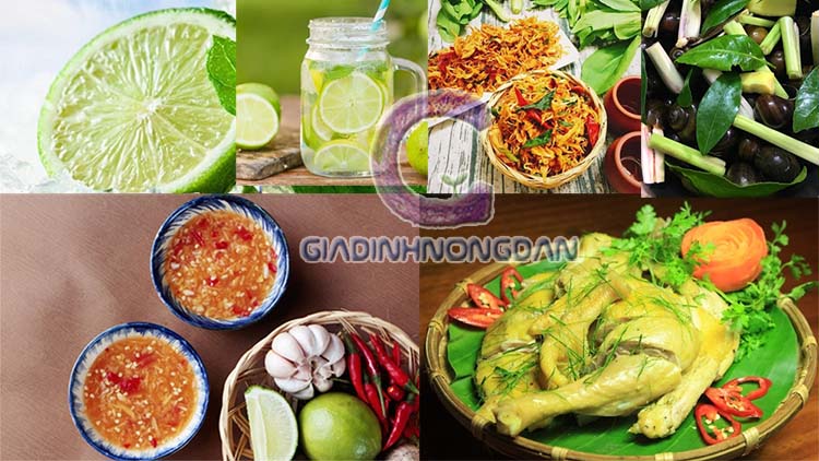Cây Chanh Giống Cây Chanh Giống