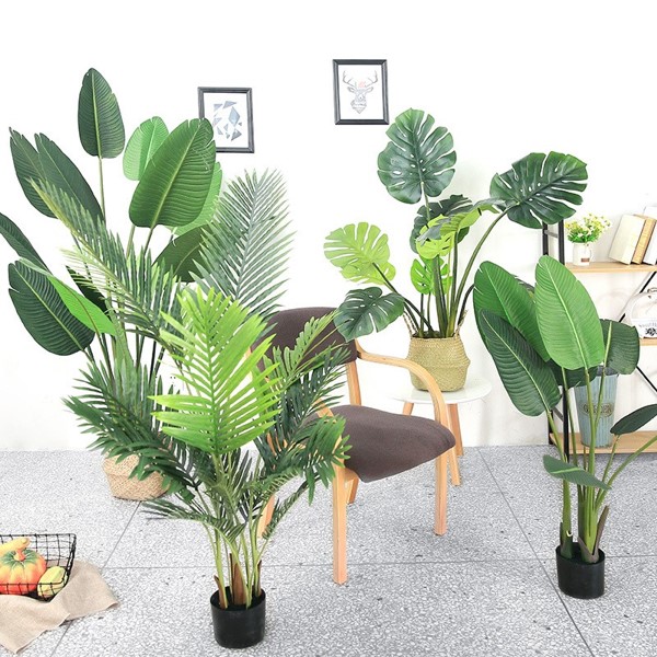 Cây Trang Trí Cỡ Lớn