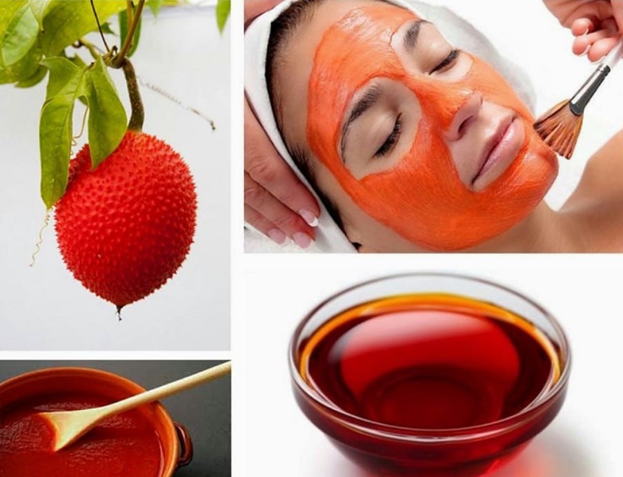 Cây Gấc Giống Cây Gấc Giống