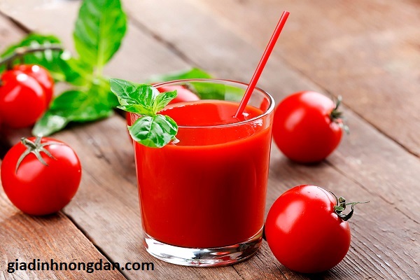 Cây Giống Cà Chua Cây Giống Cà Chua