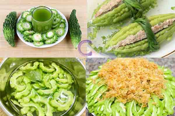 Cây Khổ Qua Cây Khổ Qua