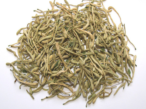 Cây Kim Ngân Hoa (kim ngân leo) Cây Kim Ngân Hoa (kim ngân leo)