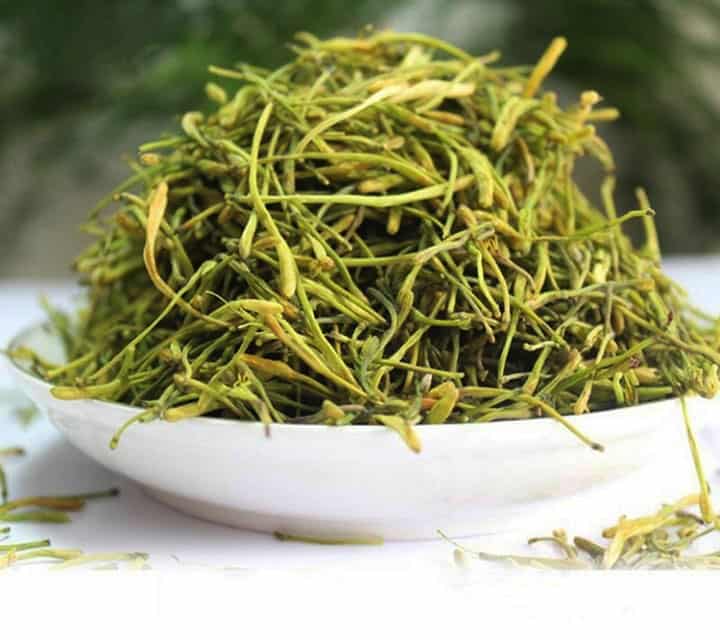 Cây Kim Ngân Hoa (kim ngân leo) Cây Kim Ngân Hoa (kim ngân leo)