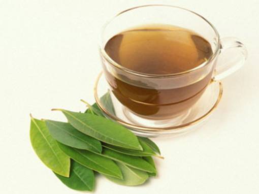Cấy Lá Vối Cấy Lá Vối