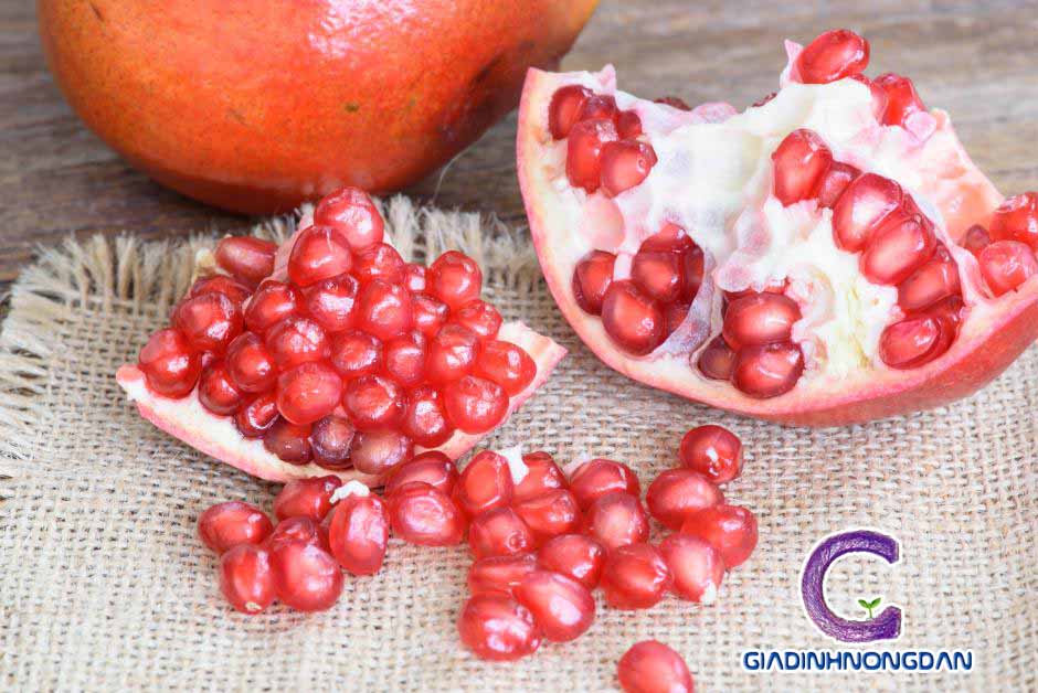 cây lựu đỏ ai cập cây lựu đỏ ai cập