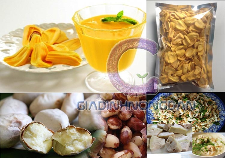 Cây Mít Giống Cây Mít Giống