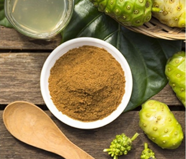 Cây Nhàu (vị thuốc khó tìm) Cây Nhàu (vị thuốc khó tìm)