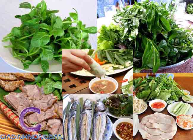cây rau quế vị