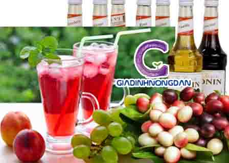 Cây si rô