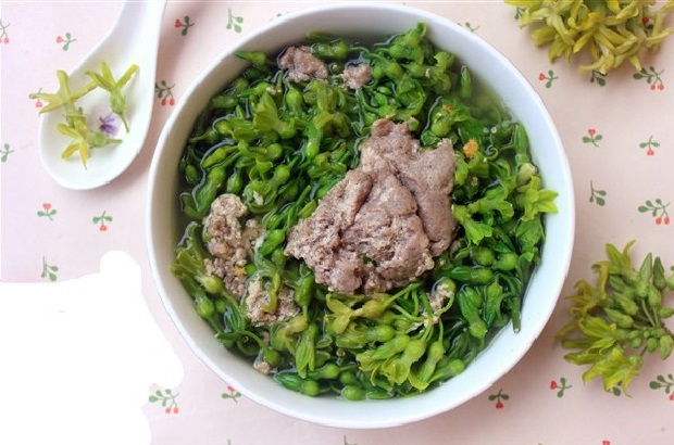 Cây Hoa Thiên Lý Cây Hoa Thiên Lý