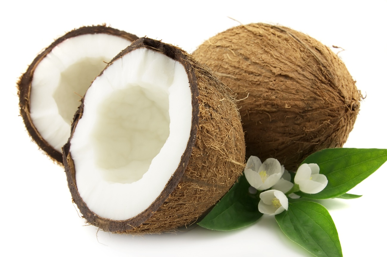 cây thuốc nam cây thuốc nam