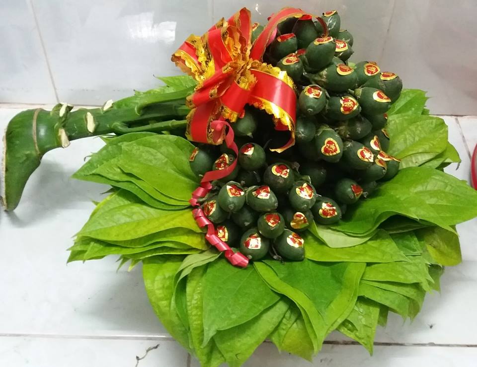 Cây Trầu Không Cây Trầu Không