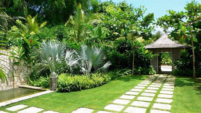 Chăm sóc cây xanh trong sân vườn