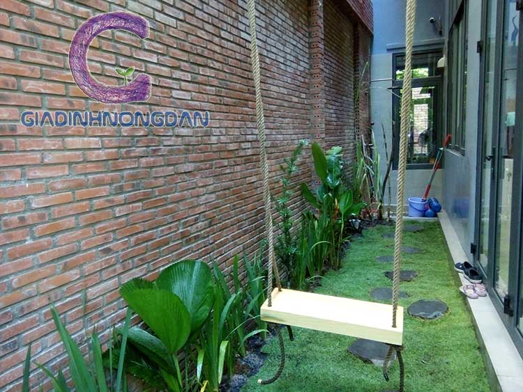 chậu cây kè nhật chậu cây kè nhật