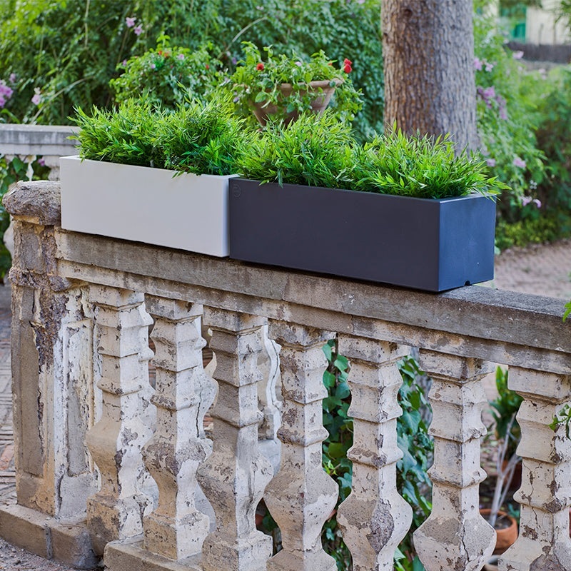 Chậu Trồng Cây Hình Chữ Nhật Dài 1m Chậu Trồng Cây Hình Chữ Nhật Dài 1m