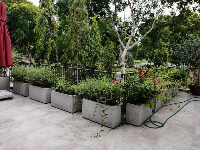 Chậu Trồng Cây Hình Chữ Nhật Dài 1m Chậu Trồng Cây Hình Chữ Nhật Dài 1m