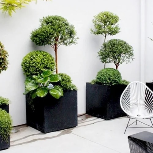 Chậu trồng cây vuông 70cm xi măng đá mài Chậu trồng cây vuông 70cm xi măng đá mài