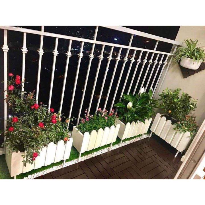 chậu nhựa trồng cây hàng rào chậu nhựa trồng cây hàng rào