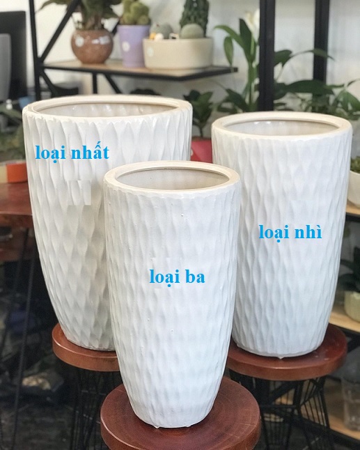 Chậu Sứ Trắng Hình Chữ V Vân Mắt Lưới
