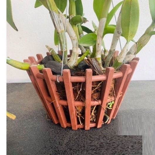 Chậu Nhựa Treo Giã Gỗ Trồng Cây Chậu Nhựa Treo Giã Gỗ Trồng Cây