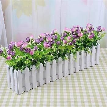 Chậu Nhựa Trồng Cây Hàng Rào Chậu Nhựa Trồng Cây Hàng Rào