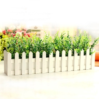 Chậu Nhựa Trồng Cây Hàng Rào Chậu Nhựa Trồng Cây Hàng Rào