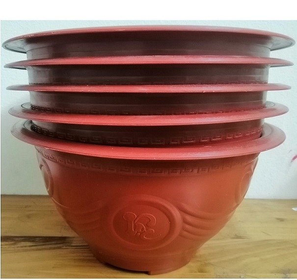 Chậu Nhựa Tròn Trồng Cây (mẫu truyền thống)