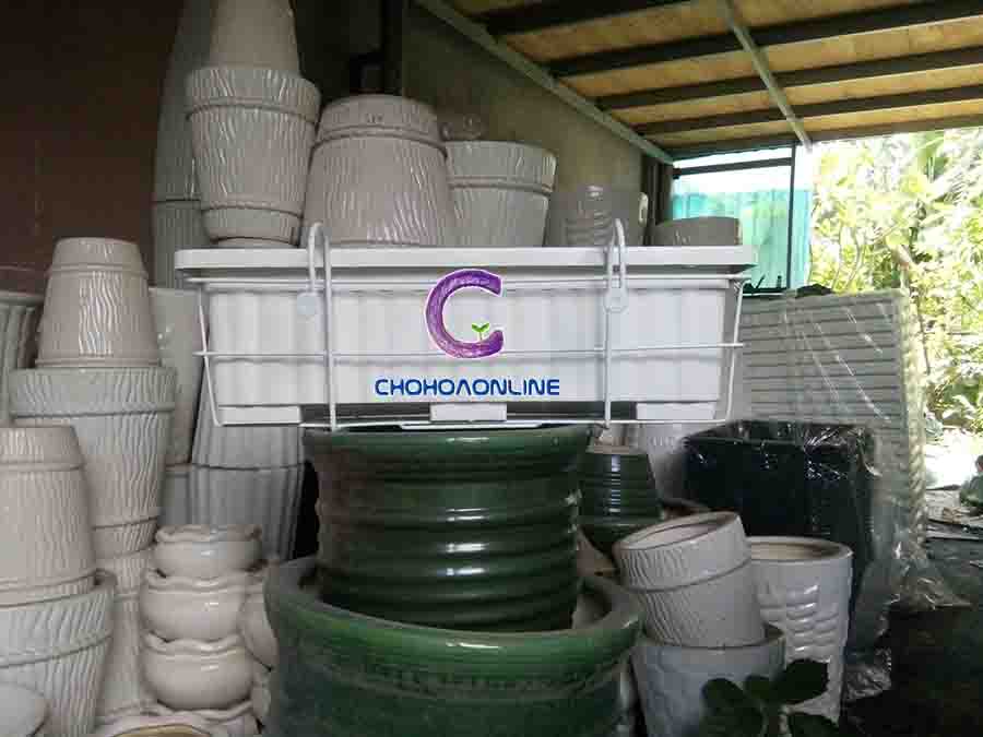 Chậu Nhựa Trồng Rau Chậu Nhựa Trồng Rau