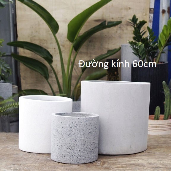 Chậu xi măng đá mài trụ tròn 60cm Chậu xi măng đá mài trụ tròn 60cm