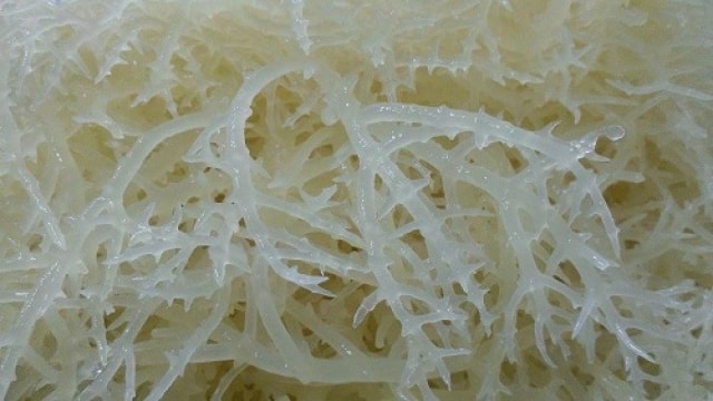 chè rau câu chè rau câu