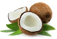 lợi ích cây dừa lợi ích cây dừa