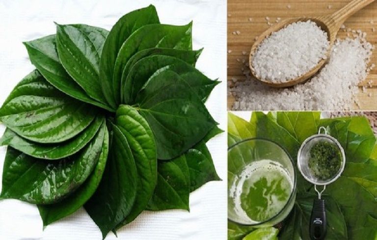 Công Dụng Lá Trầu Không Công Dụng Lá Trầu Không