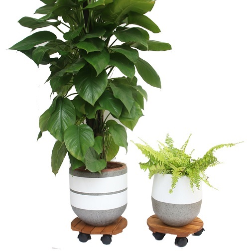 Đế Gỗ Có Bánh Xe Dùng Di Chuyển Chậu Trồng Cây Đế Gỗ Có Bánh Xe Dùng Di Chuyển Chậu Trồng Cây