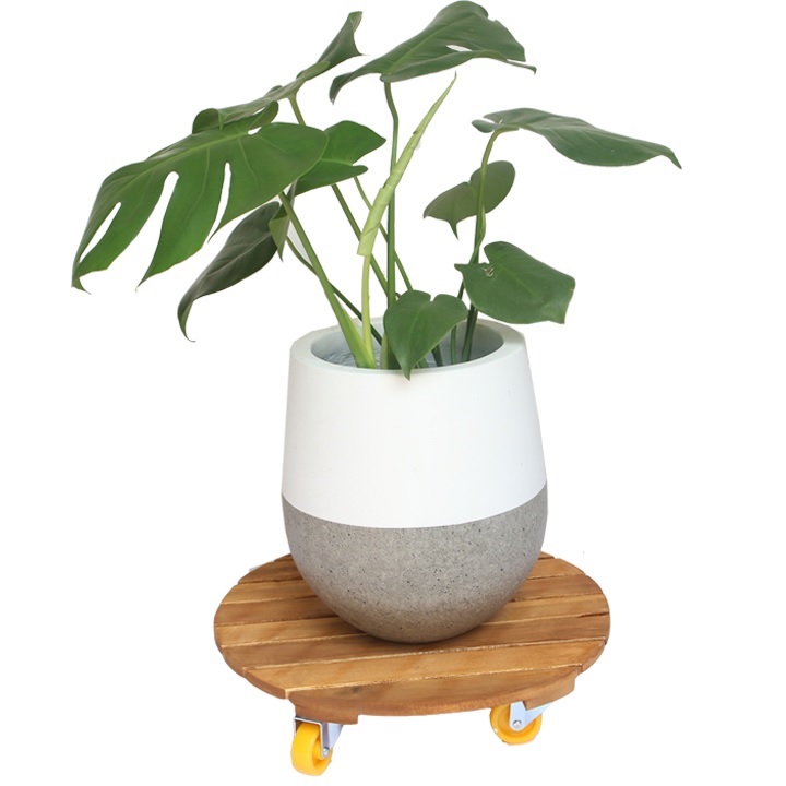 Đế Gỗ Có Bánh Xe Dùng Di Chuyển Chậu Trồng Cây Đế Gỗ Có Bánh Xe Dùng Di Chuyển Chậu Trồng Cây