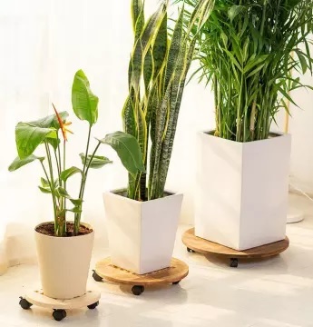 Đế Gỗ Có Bánh Xe Dùng Di Chuyển Chậu Trồng Cây Đế Gỗ Có Bánh Xe Dùng Di Chuyển Chậu Trồng Cây