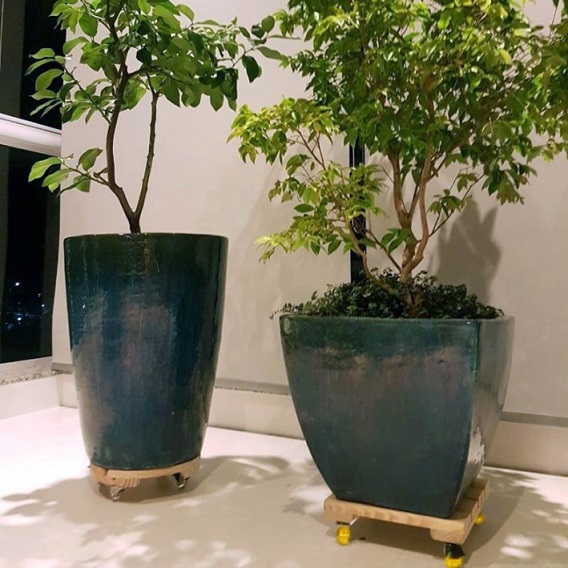 Đế Gỗ Có Bánh Xe Dùng Di Chuyển Chậu Trồng Cây Đế Gỗ Có Bánh Xe Dùng Di Chuyển Chậu Trồng Cây