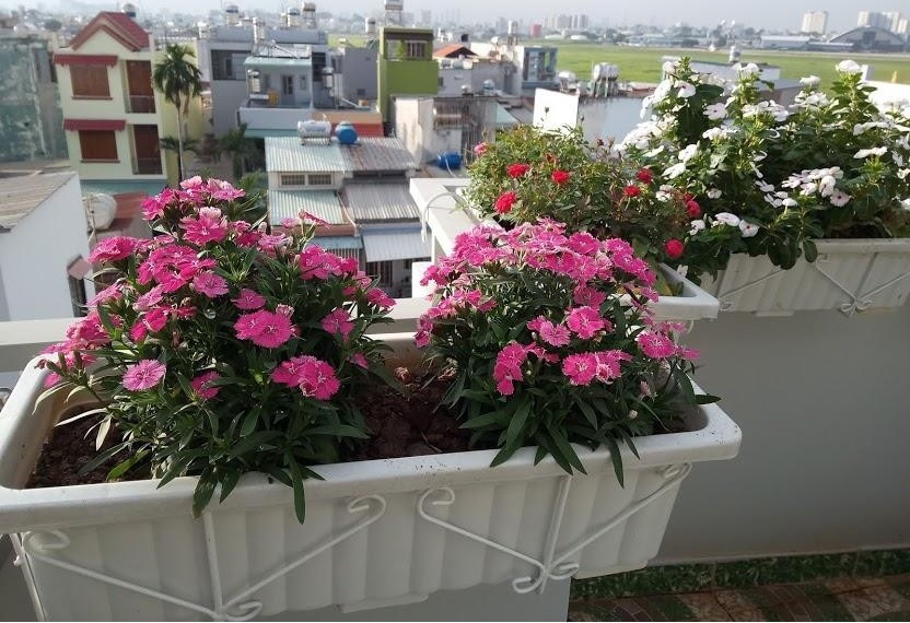 Khung Sắt Treo Chậu Chữ Nhật Khung Sắt Treo Chậu Chữ Nhật
