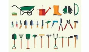 Lựu Chín Đúng Mùa – Cách Thu Hoạch Chuẩn Giúp Trái Ngọt, Vỏ Đẹp, Năng Suất Cao