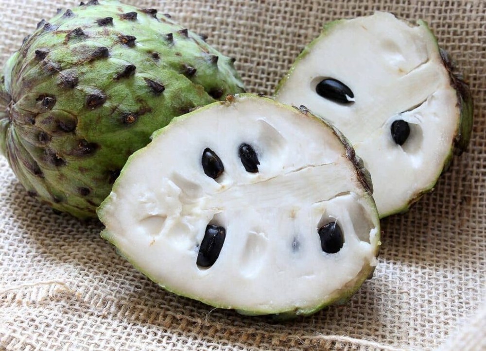 chăm sóc cây mãng cầu xiêm tại gia
