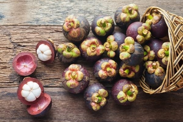 măng cụt lợi ích vàng cho sức khỏe măng cụt lợi ích vàng cho sức khỏe