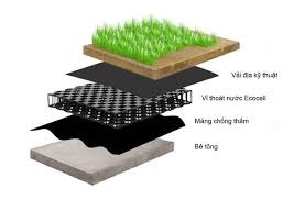 Mẹo Chăm Cây Cảnh Ngày Mưa Đúng Cách, Không Lo Ngập Úng Mẹo Chăm Cây Cảnh Ngày Mưa Đúng Cách, Không Lo Ngập Úng