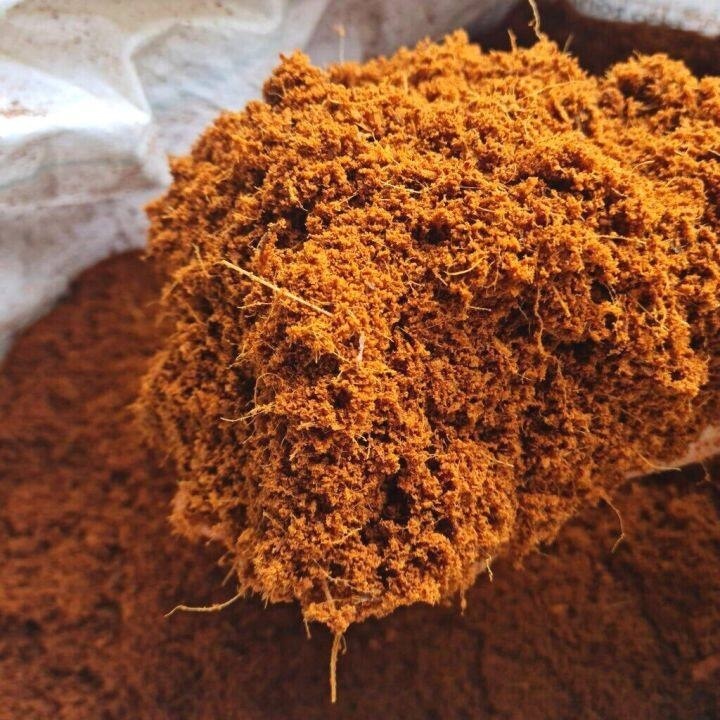 Mụn Xơ Dừa Trồng Cây Mụn Xơ Dừa Trồng Cây
