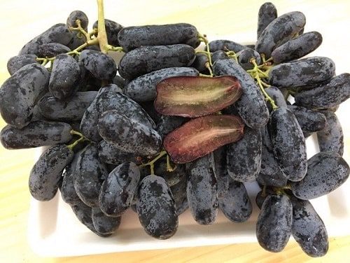 nho ngón tay đen (cây giống) nho ngón tay đen (cây giống)